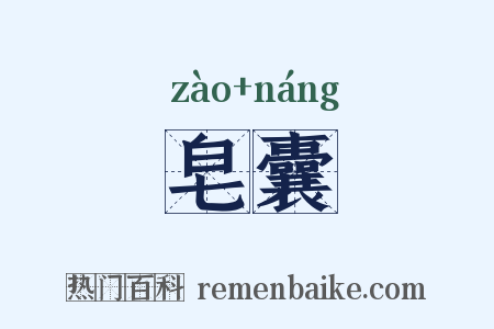 皂囊是什么意思的图片